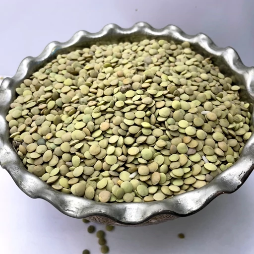 عدس درشت