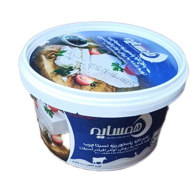 پنیرسطلی600گ همسایه